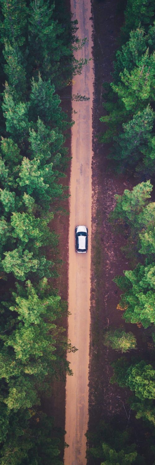 liam-pozz-yjmJBkKn26k-unsplash